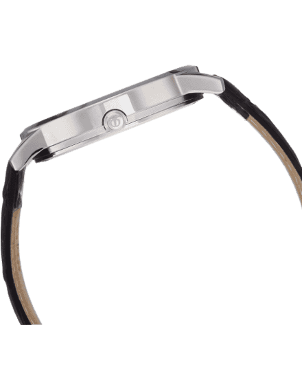 Buy Titan 1769SL04 Watch in India I Swiss Time House