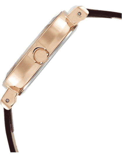 Buy Titan 2575WL01 Watch in India I Swiss Time House