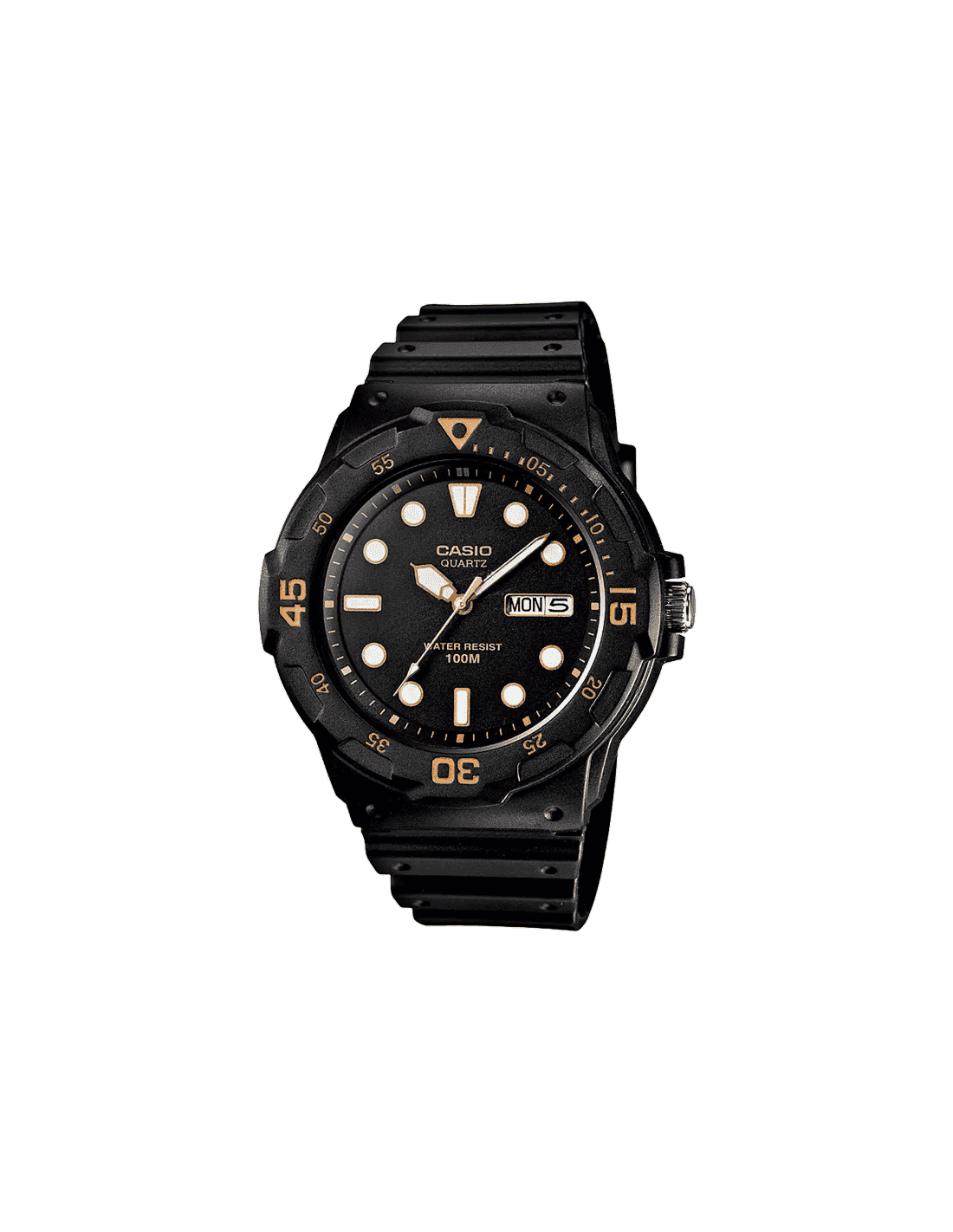 d099 casio