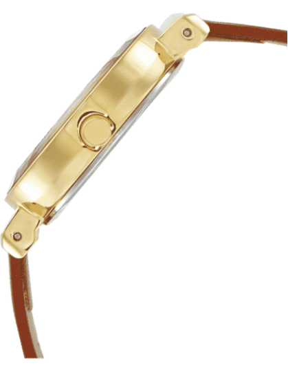 Buy Titan 2575YL01 Watch in India I Swiss Time House