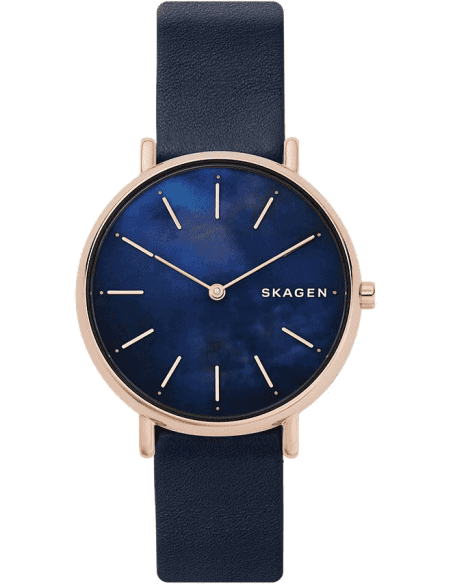 Skagen skw2731 deals