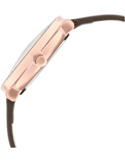 Buy Titan 2651WL01 Watch in India I Swiss Time House