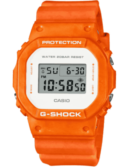 G1131 DW-5600WS-4DR G-Shock