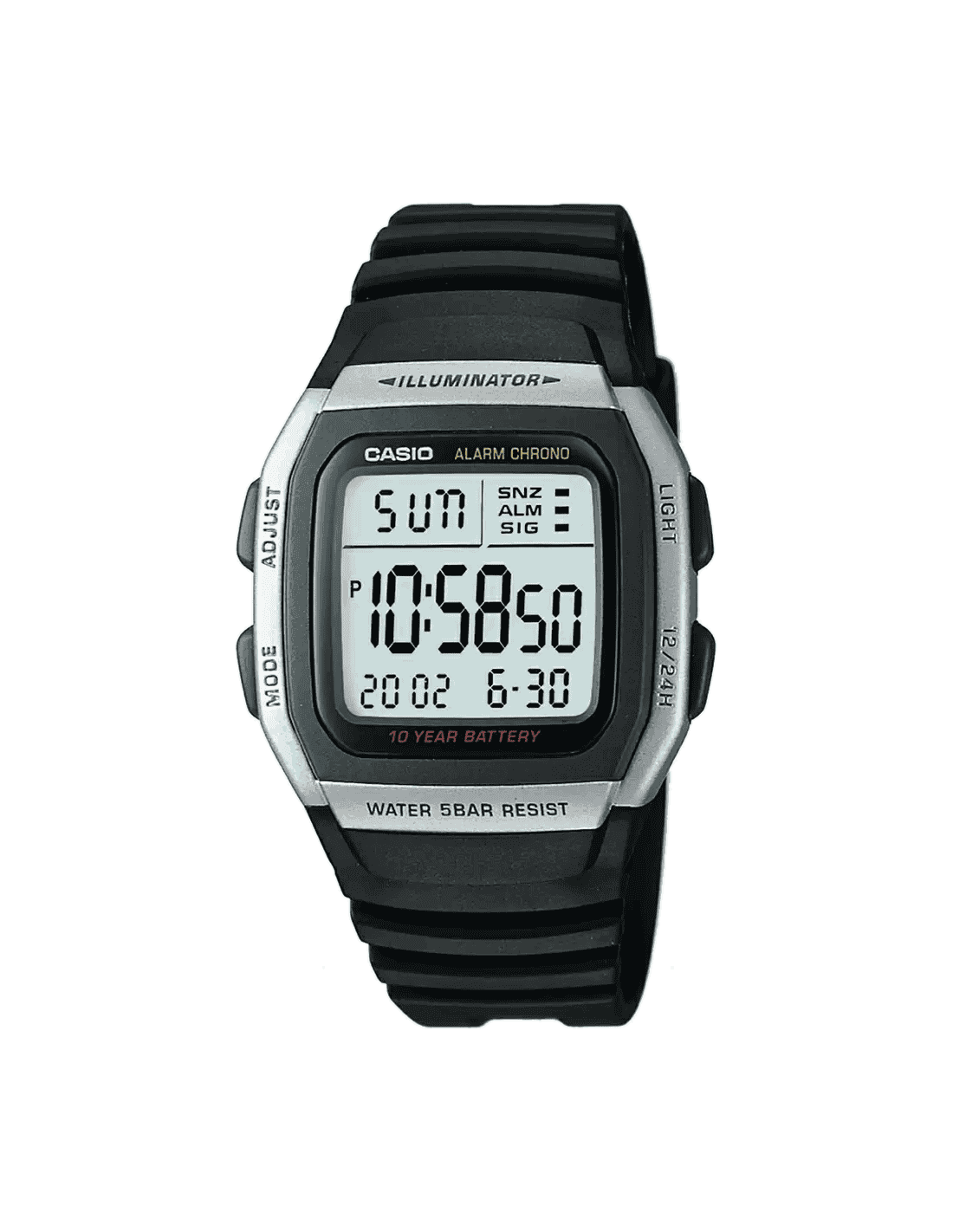 casio d031
