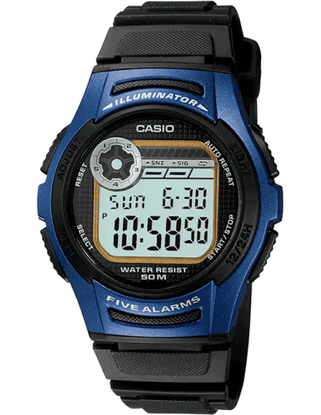 Buy Casio D066 W 213 2AVDF Youth Watch in India I Swiss Time