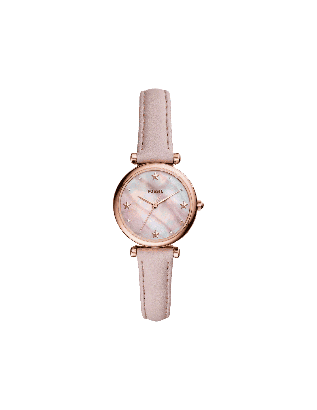 Am4508 fossil on sale