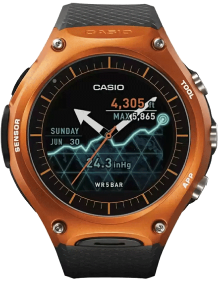SW002 WSD-F10RG Smart Watch