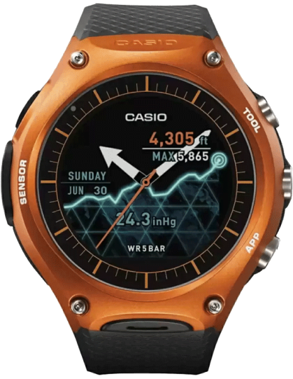 SW002 WSD-F10RG Smart Watch