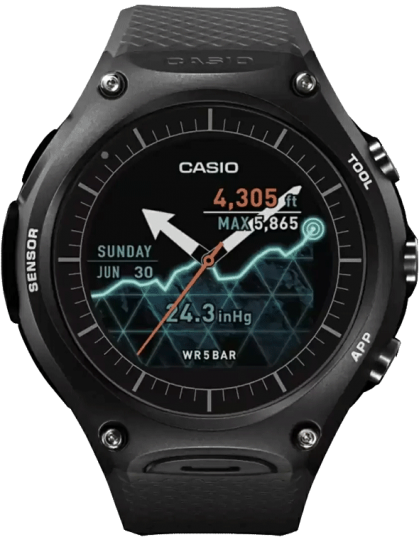 SW001 WSD-F10BK Smart Watch