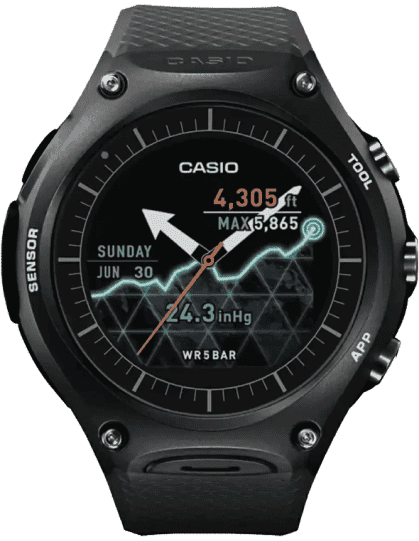 SW001 WSD-F10BK Smart Watch