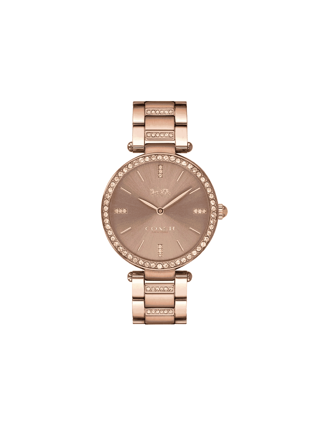Buy Coach CO14503627W Watch in India I Swiss Time House