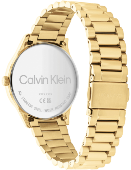 Buy Calvin Klein 25200043 Watch in India I Swiss Time House