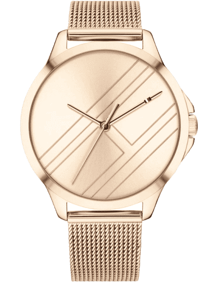 Buy Tommy Hilfiger TH1791880 Watch in India I Swiss Time House