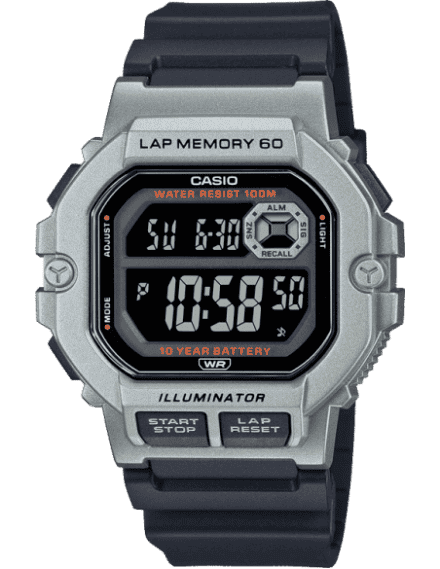 d099 casio