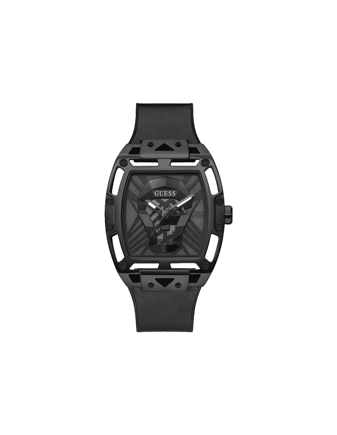 GW0500G2