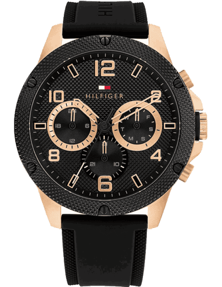 Buy Tommy Hilfiger TH1792028 Watch in India I Swiss Time House