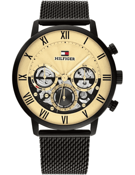 Buy Tommy Hilfiger TH1710568 Watch in India I Swiss Time House