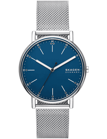 Skagen skw6651 hotsell