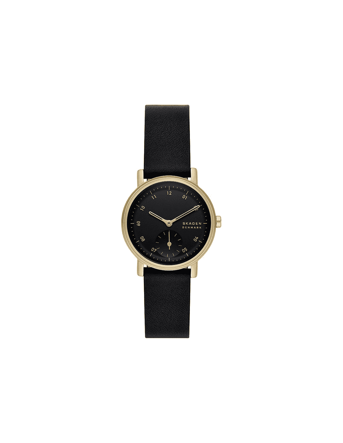 Buy Skagen Watches For Men And Women In India Swiss Time House tamil-meaning-of-this-that-these-those-demonstrative-40-off