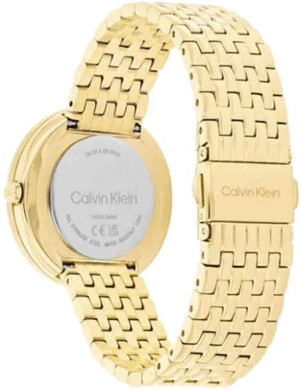 Buy Calvin Klein 25100069 Watch in India I Swiss Time House