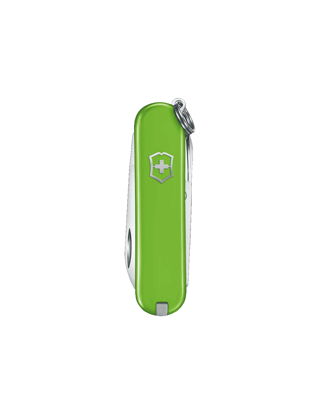 Buy Victorinox Victorinox 0.6223.43G Watch in India I Swiss Time House