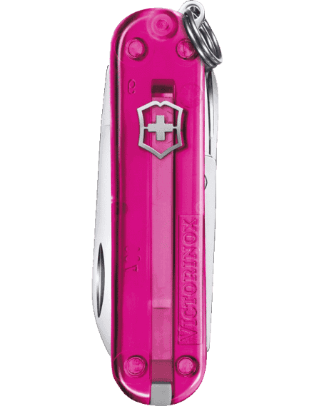 Victorinox 0.6223.T5G