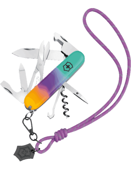 Victorinox 1.3909.E222