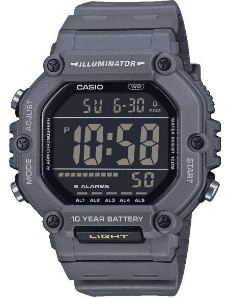 Casio D387
