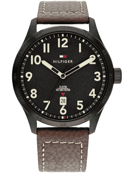 Tommy Hilfiger TH1710560