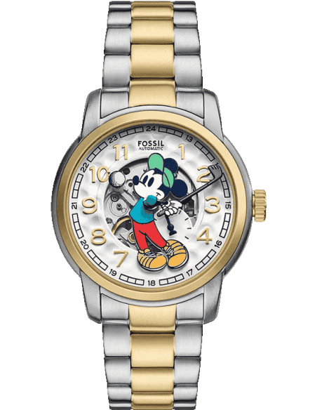 Fossil LE1193