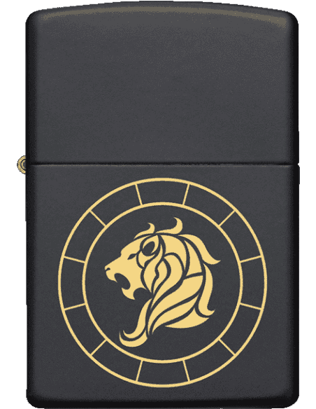 Zippo 218-058588MP401298