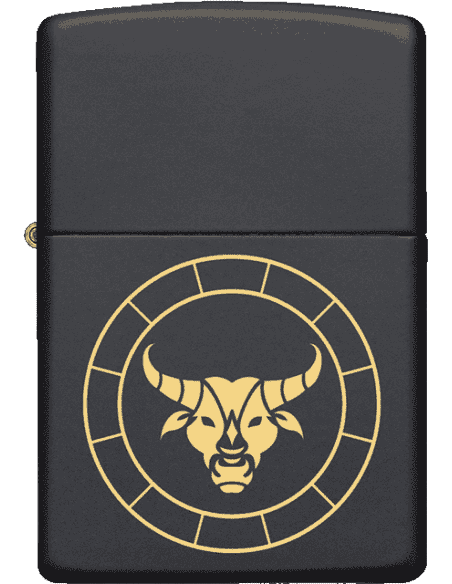 Zippo 218-058640MP401296