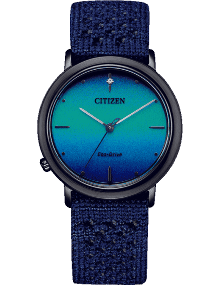 Citizen EM1005-42L