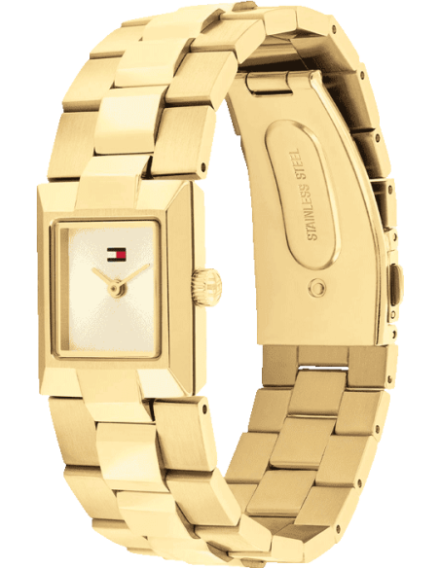 Buy Tommy Hilfiger Tommy Hilfiger TH1782787 Watch in India I Swiss ...