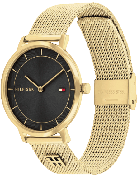 Buy Tommy Hilfiger Tommy Hilfiger TH1782739 Watch in India I Swiss ...
