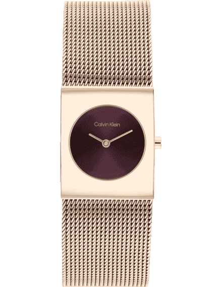 Calvin Klein 25100137