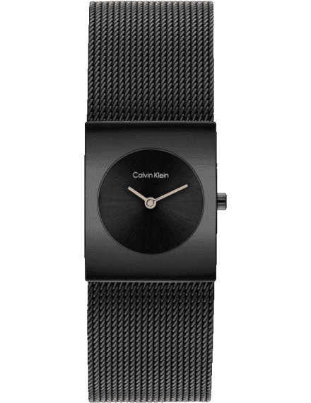 Calvin Klein 25100138