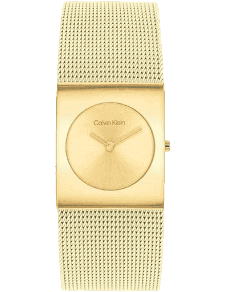 Calvin Klein 25100062