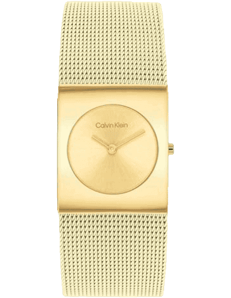 Calvin Klein 25100062