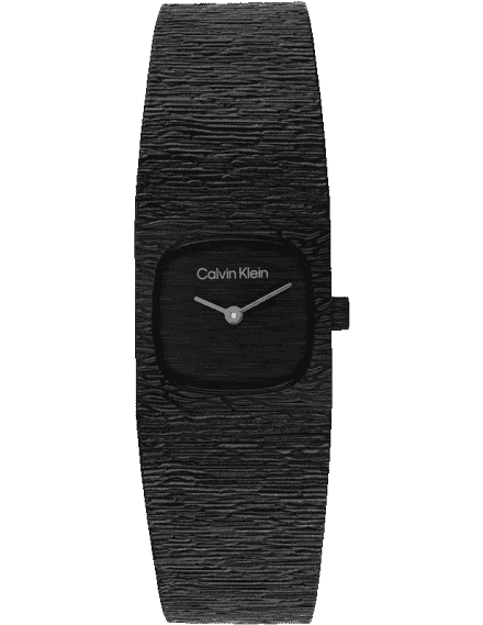 Calvin Klein 25100180