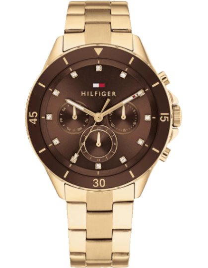Buy Tommy Hilfiger Tommy Hilfiger TH1782709 Watch in India I Swiss ...