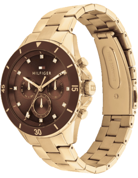 Buy Tommy Hilfiger Tommy Hilfiger TH1782709 Watch in India I Swiss ...