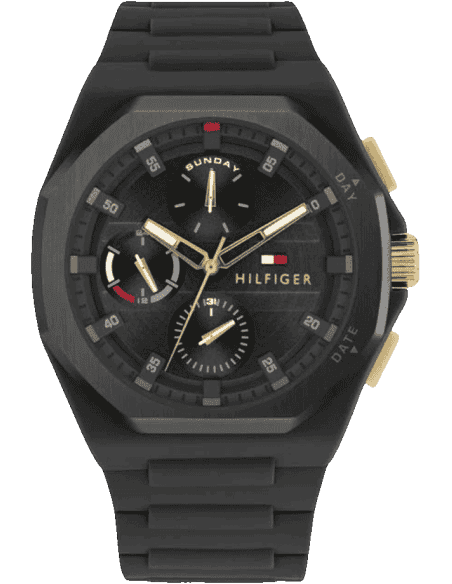 Tommy Hilfiger TH1792120W