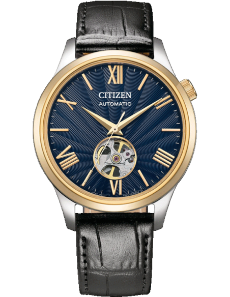 Buy Citizen Citizen EW2595-81L Watch in India I Swiss Time House