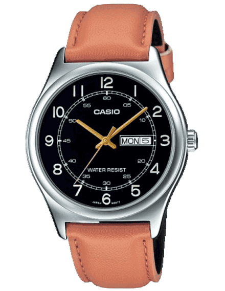 casio a491