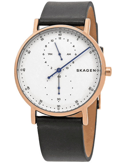 Skagen skw6483 clearance