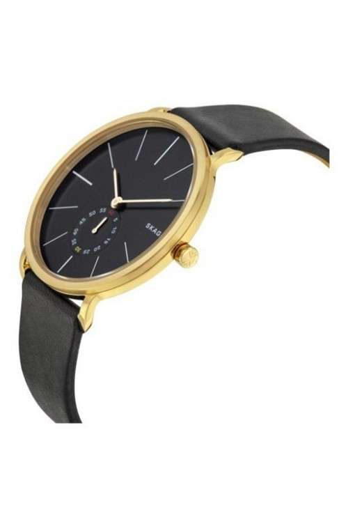Buy Skagen SKW6217 Watch in India I Swiss Time House