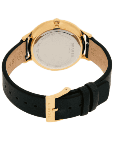 Skagen skw2720 best sale