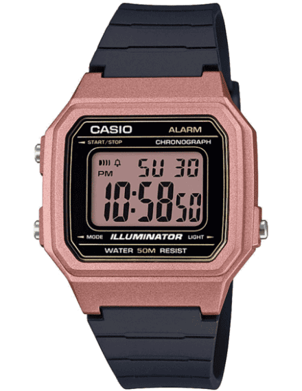 casio ad221