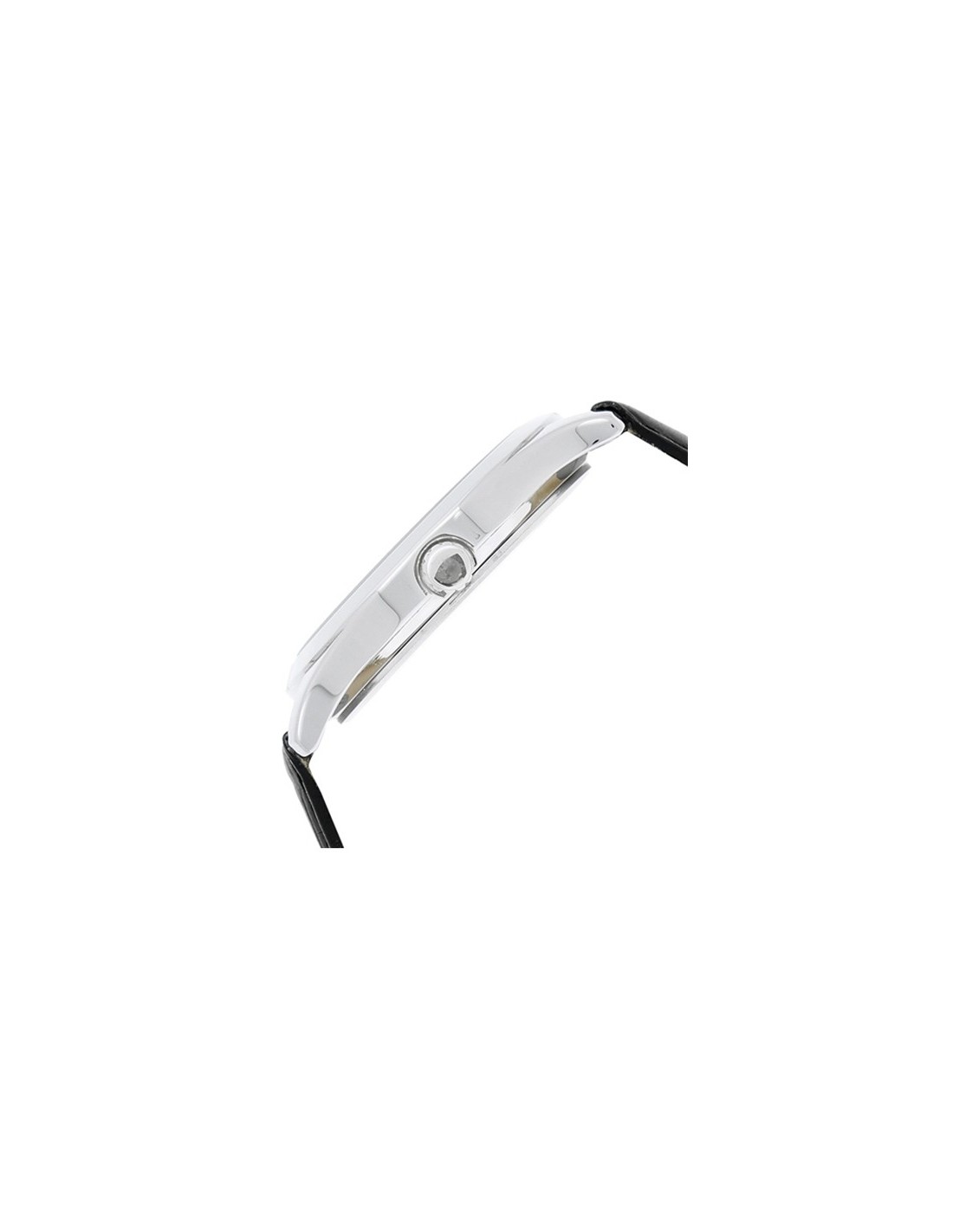 Buy Titan 1739SL01 Watch in India I Swiss Time House